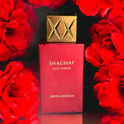 Luxury Unisex Perfume 100ml Long Lasting Eau De Parfum Fresh Floral Fruity Amber Woody Notes Elegant Charming Fashionable Scent