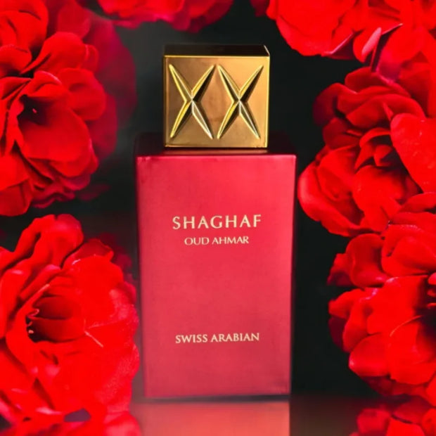 Luxury Unisex Perfume 100ml Long Lasting Eau De Parfum Fresh Floral Fruity Amber Woody Notes Elegant Charming Fashionable Scent