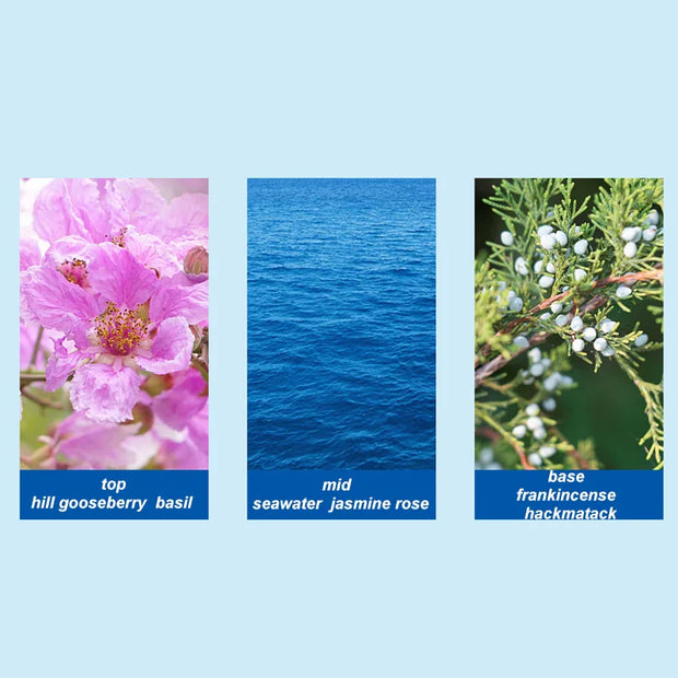 Luxury Blue Mediterranean Unisex Perfume Fresh Fruity Ultimate Charm Fragrance Natural Wood Couple Premium Eau De Toilette 50ml