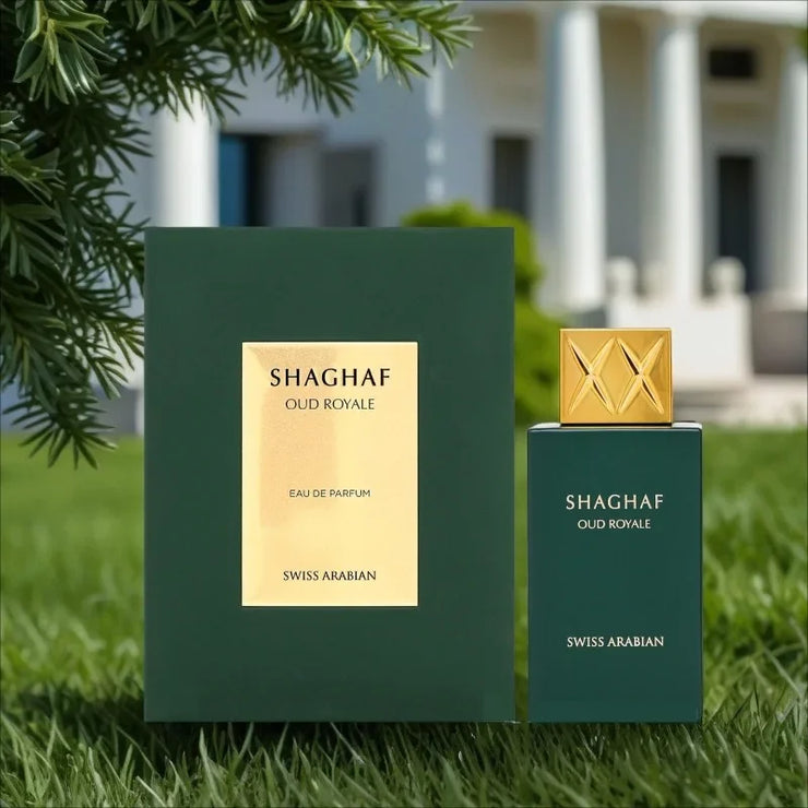 Luxury Unisex Perfume 100ml Long Lasting Eau De Parfum Fresh Floral Fruity Amber Woody Notes Elegant Charming Fashionable Scent