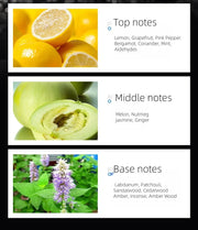 Luxury Men Perfume Classic Blue Cologne Spray Fresh Fragrance Long Lasting Aroma Eau De Parfum Pheromone Parfums Homme